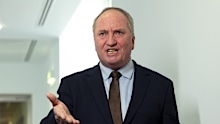 Member for New England Barnaby Joyce speaks to the media about net zero at Parliament House.