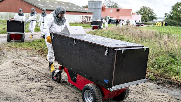 Employees from the Danish Veterinary and Food Administration and the Danish Emergency Management Agency transport a container at a mink farm, in Gjoel, Denmark