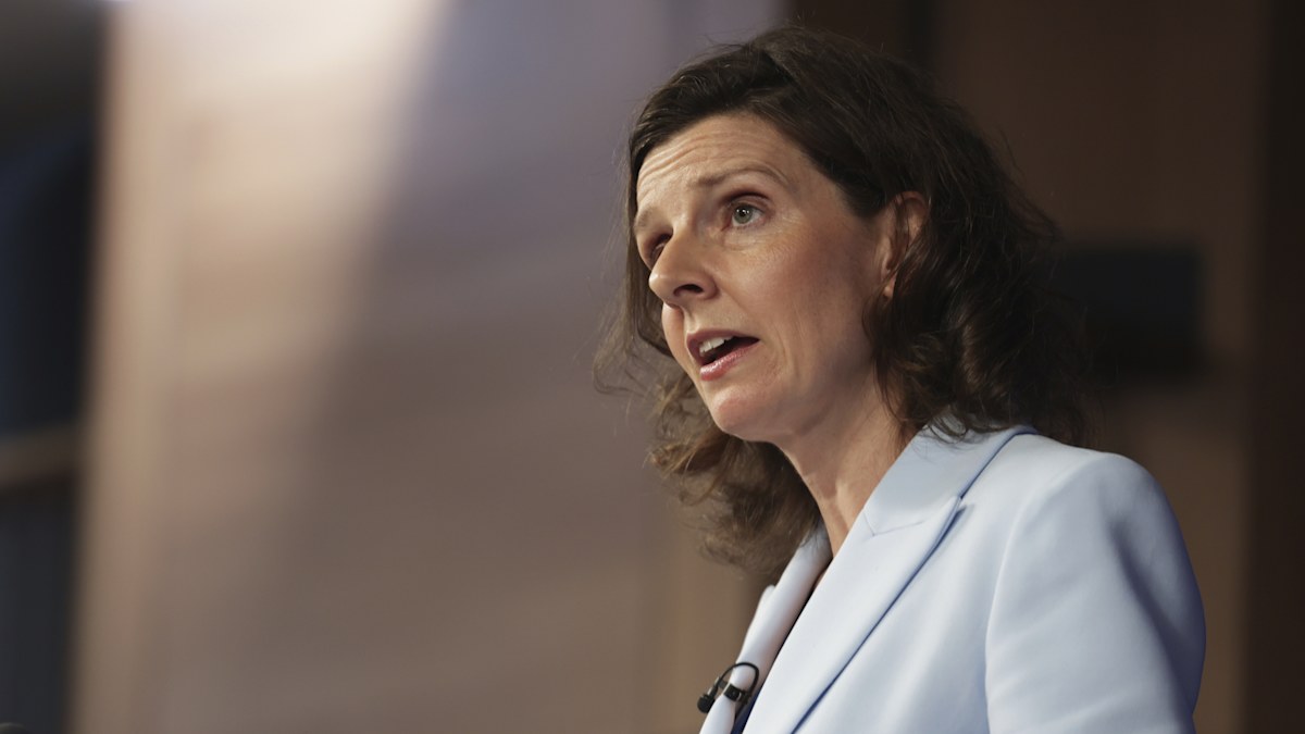 Federal Election 2025: AEC investigating almost 50,000 unauthorised ...