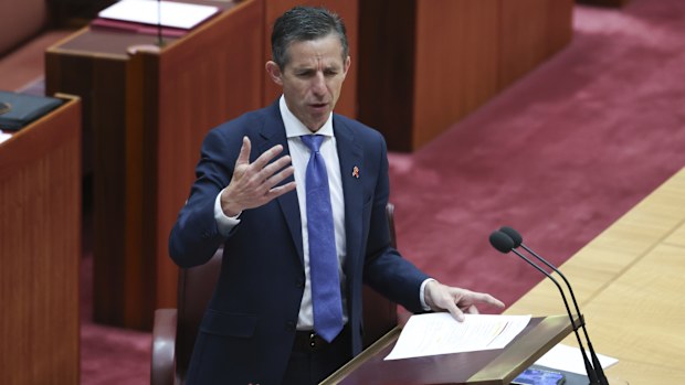 Leader of the Opposition in the Senate and Shadow Minister for Foreign Affairs Simon Birmingham in the Senate at Parliament House in Canberra on Thursday 28 November 2024.