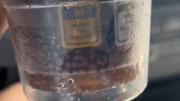 McDonald's coke