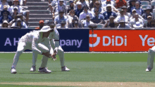 Marnus catch