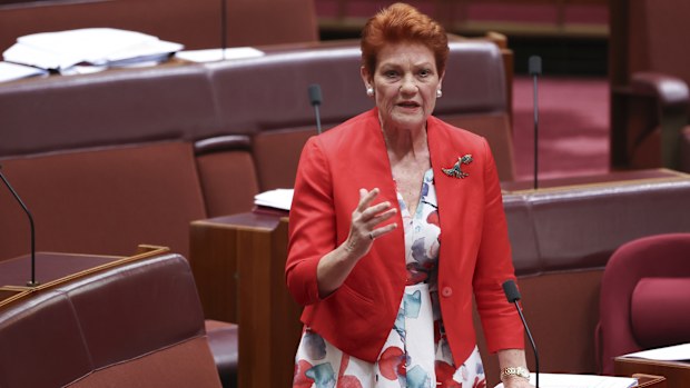 One Nation leader Senator Pauline Hanson. 