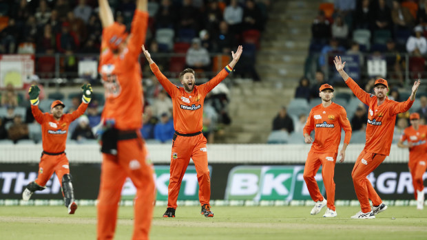 Andrew Tye of the Perth Scorchers appeals for caught behind.