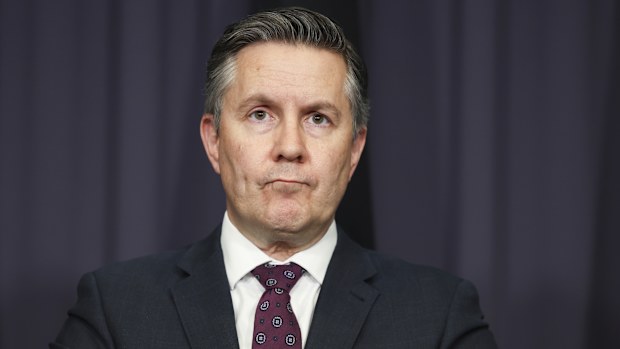 Minister for Health and Aged Care Mark Butler during a press conference at Parliament House.