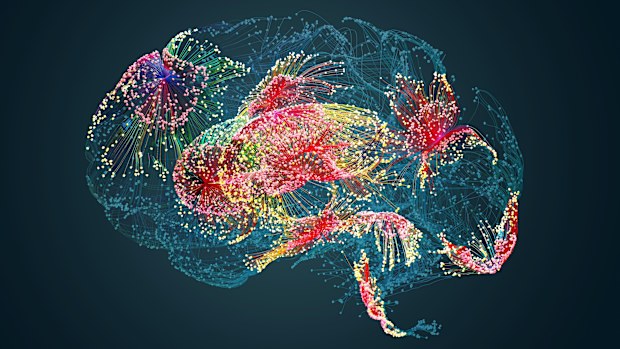 dementia research