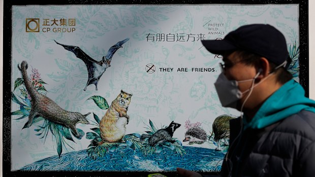 Propaganda posters promote the protection of wildlife after authorities crackdown on animal markets following the coronavirus outbreak.