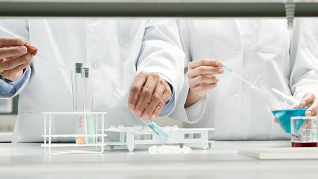 Scientists lab research 