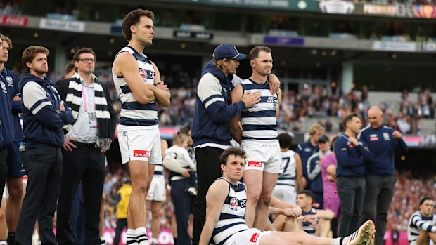 The Cats look on after they were defeated by the Lions 