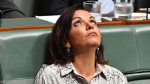 Labor MP Anne Aly. (AAP)