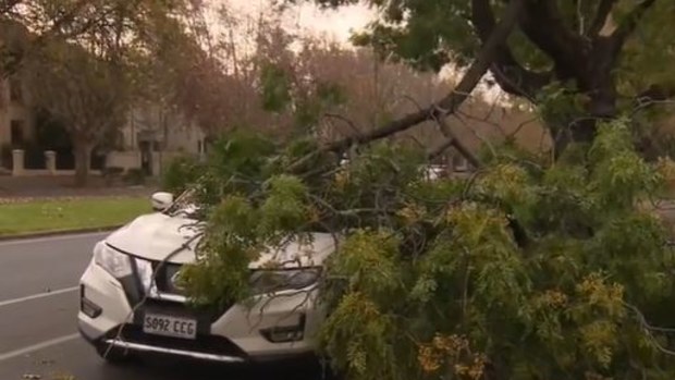 Adelaide dust storm polar blast