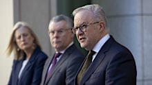 Anthony Albanese said the passage of environmental reforms is a "landmark day".
