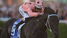 Black Caviar ridden by jockey Luke Nolen wins The TJ Smith Stakes, her 25th race in a row.  It is a success record not equalled for over 100 years. Randwick Race Course, Sydney Australia. Saturday 13th April 2013. Photo: (Steve Christo)