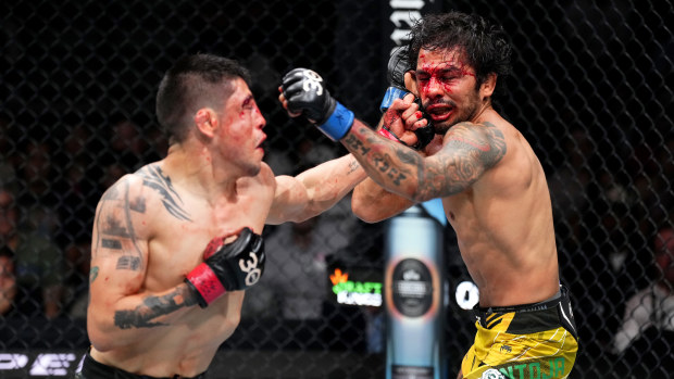 LAS VEGAS, NEVADA - JULY 08: (L-R) Brandon Moreno of Mexico punches Alexandre Pantoja of Brazil in the UFC flyweight championship fight during the UFC 290 event at T-Mobile Arena on July 08, 2023 in Las Vegas, Nevada. (Photo by Jeff Bottari/Zuffa LLC via Getty Images)