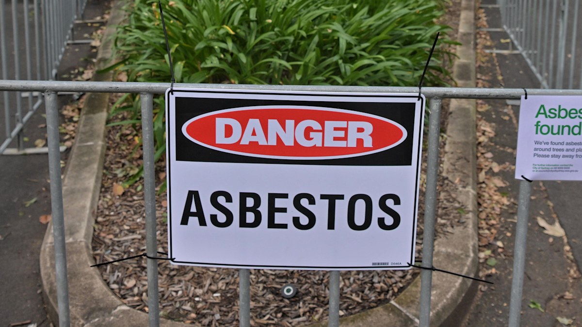 Two more Sydney schools in the clear as asbestos testing continues ...