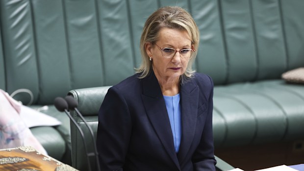 Opposition leader Sussan Ley during Question Time at Parliament House in Canberra on Wednesday 5 November 2025. 