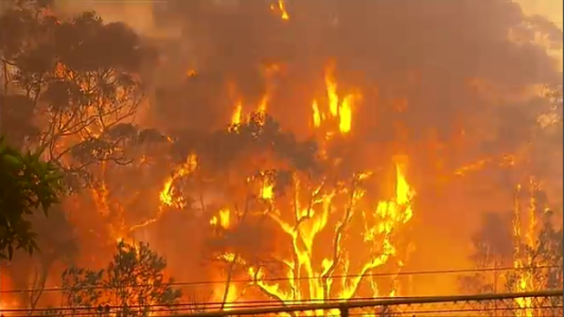A total fire ban has been declared for Sydney tomorrow. (9NEWS)