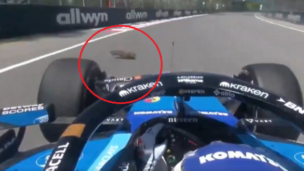 F1 news 2026: Alex Albon runs over groundhog, crashes at Canadian Grand ...
