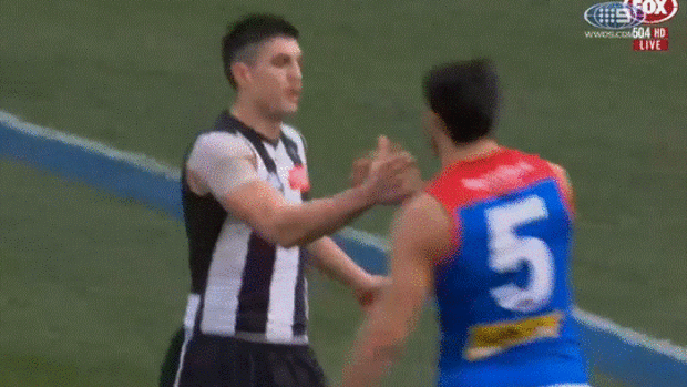 AFL news 2024: Kane Cornes rips Melbourne Demons for shaking hands with ...
