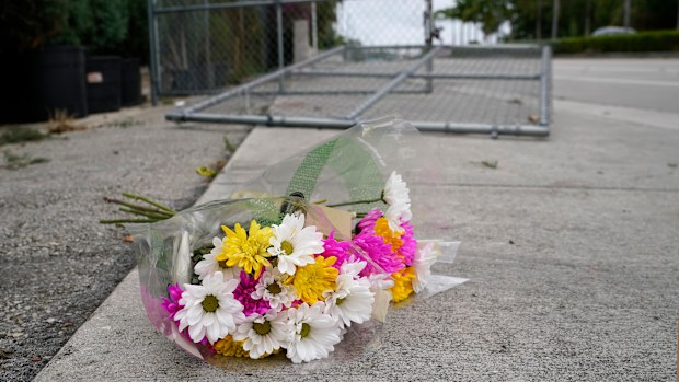 Officials say deadly Pride parade crash was not intentional