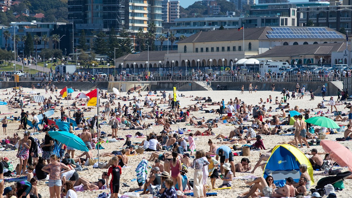 Proposal for European-style private section on Bondi Beach