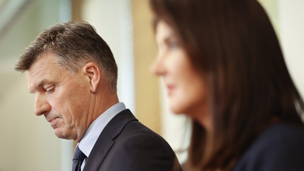 Angus Taylor and Jane Hume at a press conference