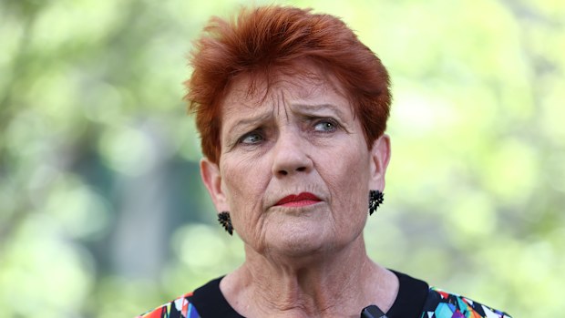 One Nation Senator Pauline Hanson speaks to the media after bing expelled from the Senate for 7 days after she wore a burqa in the chamber on November 25, 2025. Photo: Dominic Lorrimer
