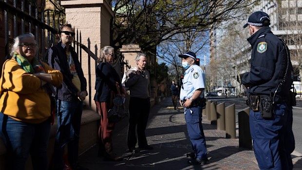 A group of protesters at the NSW Parliament