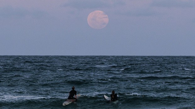 The full moon rises at Manly Beach ahead of a total lunar eclipse in Sydney on November 08, 2022 in Sydney, Australia. 