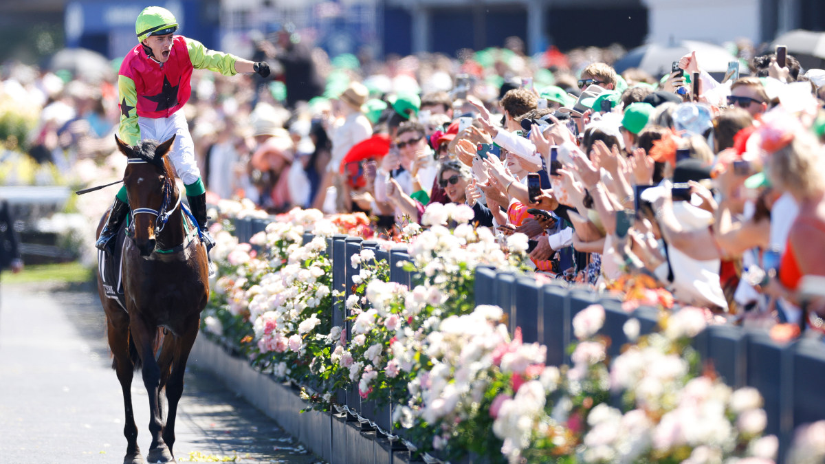 Melbourne Cup 2024 dividends Trifecta, Exacta, Quinella and other