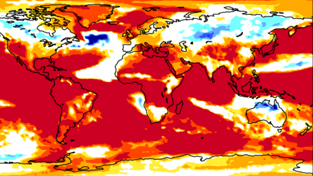 The European Centre for Medium-Range Weather Forecasts' seasonal forecast map for El Niño. 