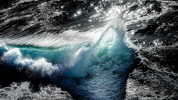 Scientists call 'Code Blue emergency' for Aussie oceans