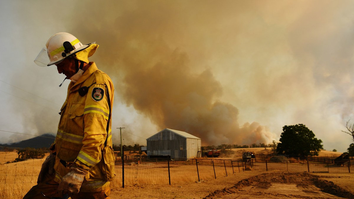 Bushfire Royal Commission: Sydney's black smoke likely killed 445 ...