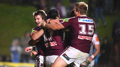 Soaring Sea Eagles