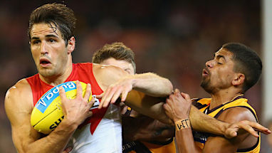 Swans win bird battle