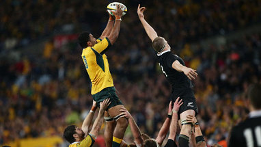 Wycliff Palu