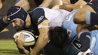 Blindside flanker