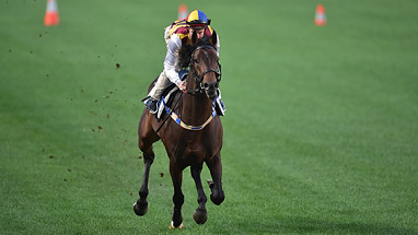 Preferment