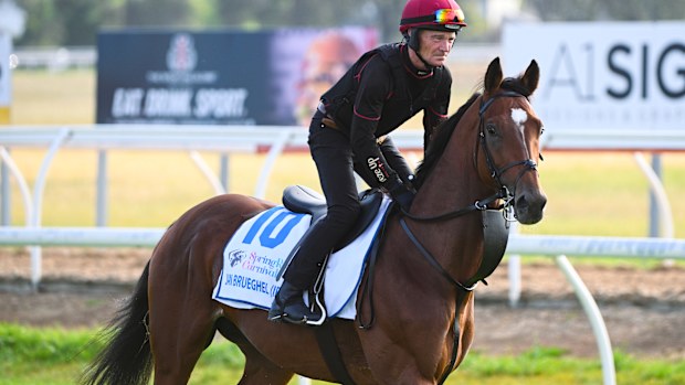The Aidan O'Brien trained Jan Brueghel ridden by Dean Gallagher during trackwork session at Werribee.