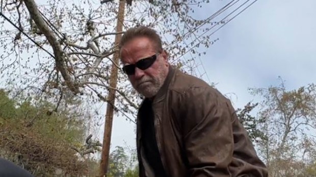 Arnold Schwarzenegger terminates neighbourhood pothole