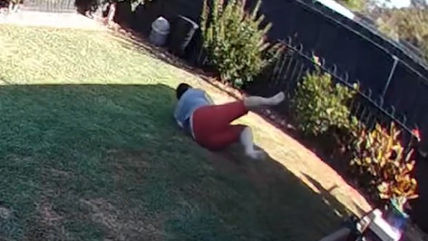 The woman fell as she attempted to kick the snake away.