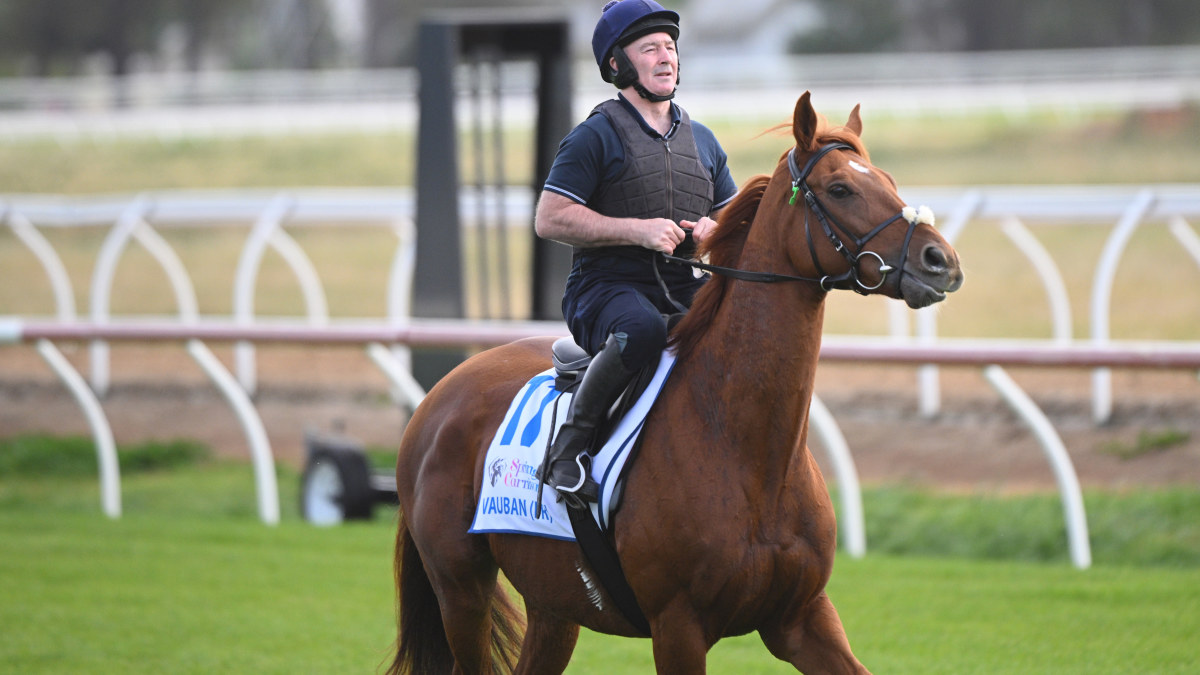 Melbourne Cup 2024 Race times, horses list, tips, field, odds, date