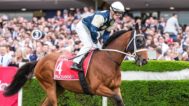 Buckaroo camino a las barreras antes del Cox Plate.