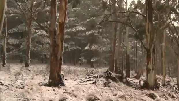 Some regions are experiencing snow and frost with a slow moving high pressure system hitting hard.