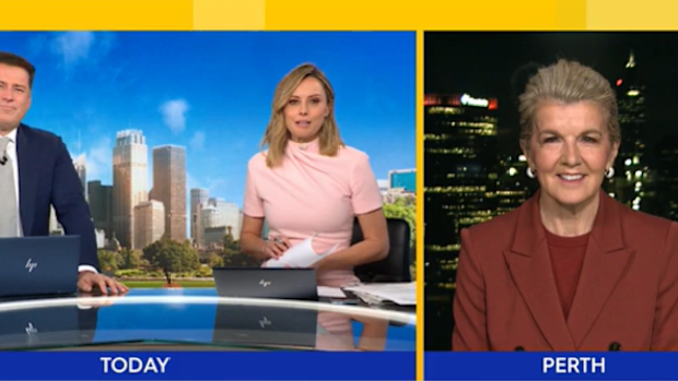 Julie Bishop Today show relationship breakup comment