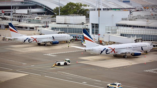 Rex aircraft at an airport.