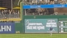 Baseball fan falls out of the stands and onto the field.