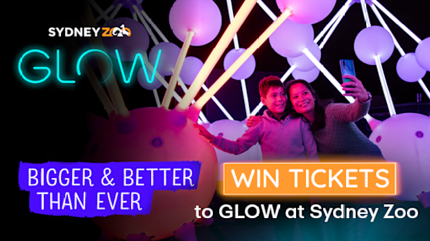 Glow at Sydney Zoo