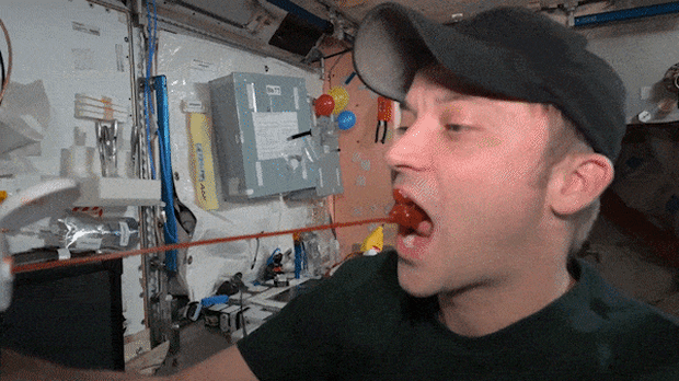 NASA astronaut Matthew Dominick tomato sauce ketchup bottle low gravity October 29, 2024