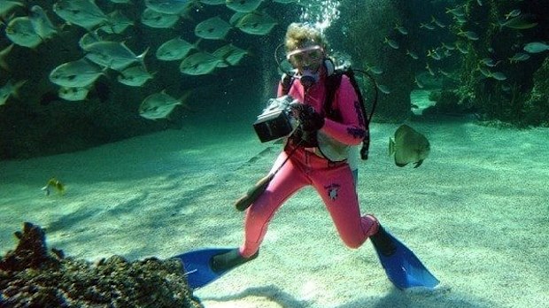 Valerie Taylor: Diver, conservationist and photographer swimming ...